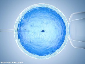 周启明 主任医师